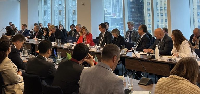 Antonia Mulvey at UNGA79: Restoring the centrality of IHL in today’s armed conflict – Reaffirming the obligation to ensure and uphold respect for IHL 