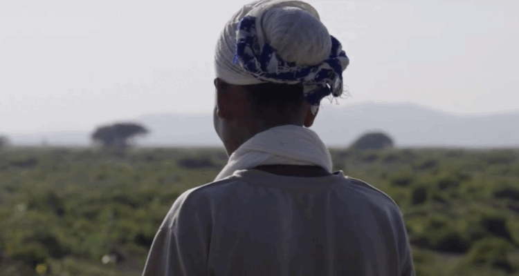 Press Release: Historic Testimony by Enslaved Ethiopian Migrant Worker Exposes Abuse in Lebanon’s Kafala System
